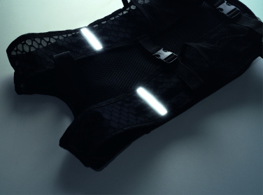 Logotrade Werbegeschenke das Foto: Sportrucksack 420D PU