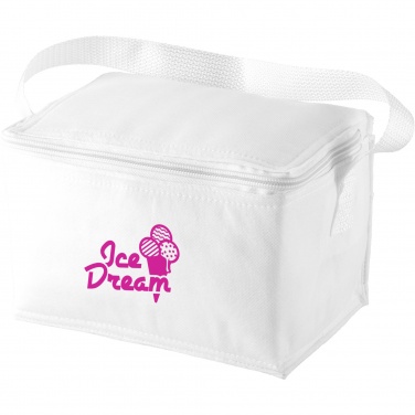 Logo trade promotional merchandise image of: Spectrum 6-can cooler bag 4L
