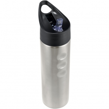 Logotrade promotional product picture of: Trixie 750 ml stainless steel sport bottle