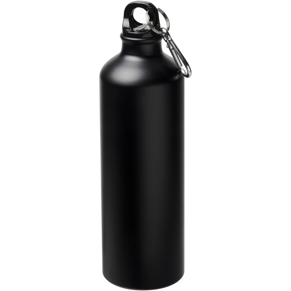 Logo trade promotional items image of: Oregon 770 ml matte water bottle with carabiner