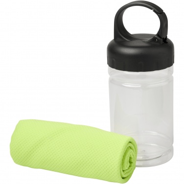 Logo trade promotional merchandise picture of: Remy cooling towel in PET container