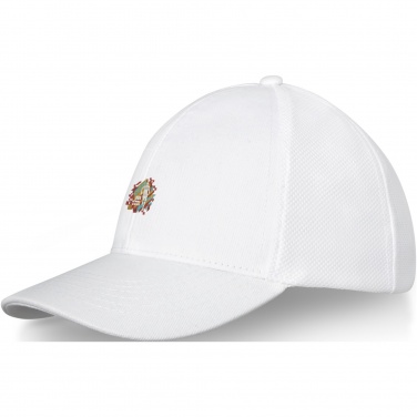 Logotrade promotional items photo of: Drake 6 panel trucker cap