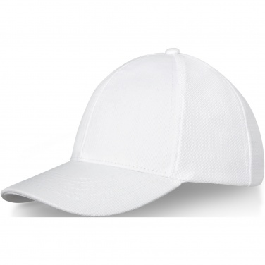 Logotrade business gift image of: Drake 6 panel trucker cap