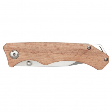 Logotrade promotional gift picture of: Dave pocket knife with belt clip