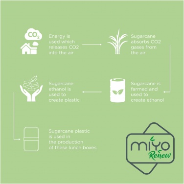Logotrade promotional items photo of: MIYO Renew double layer lunch box