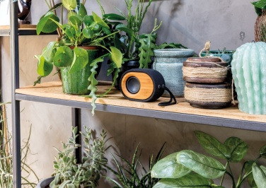 Logotrade promotional merchandise picture of: Bamboo X  speaker