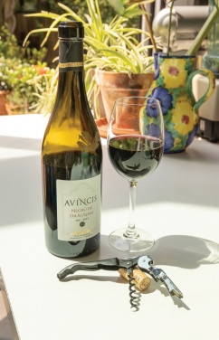 Logo trade advertising products image of: Vino Waiters corkscrew