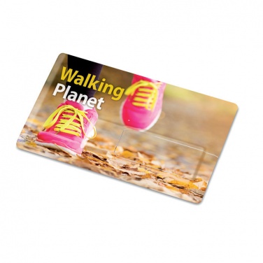 Logotrade promotional merchandise image of: Creditcard. USB flash 32GB