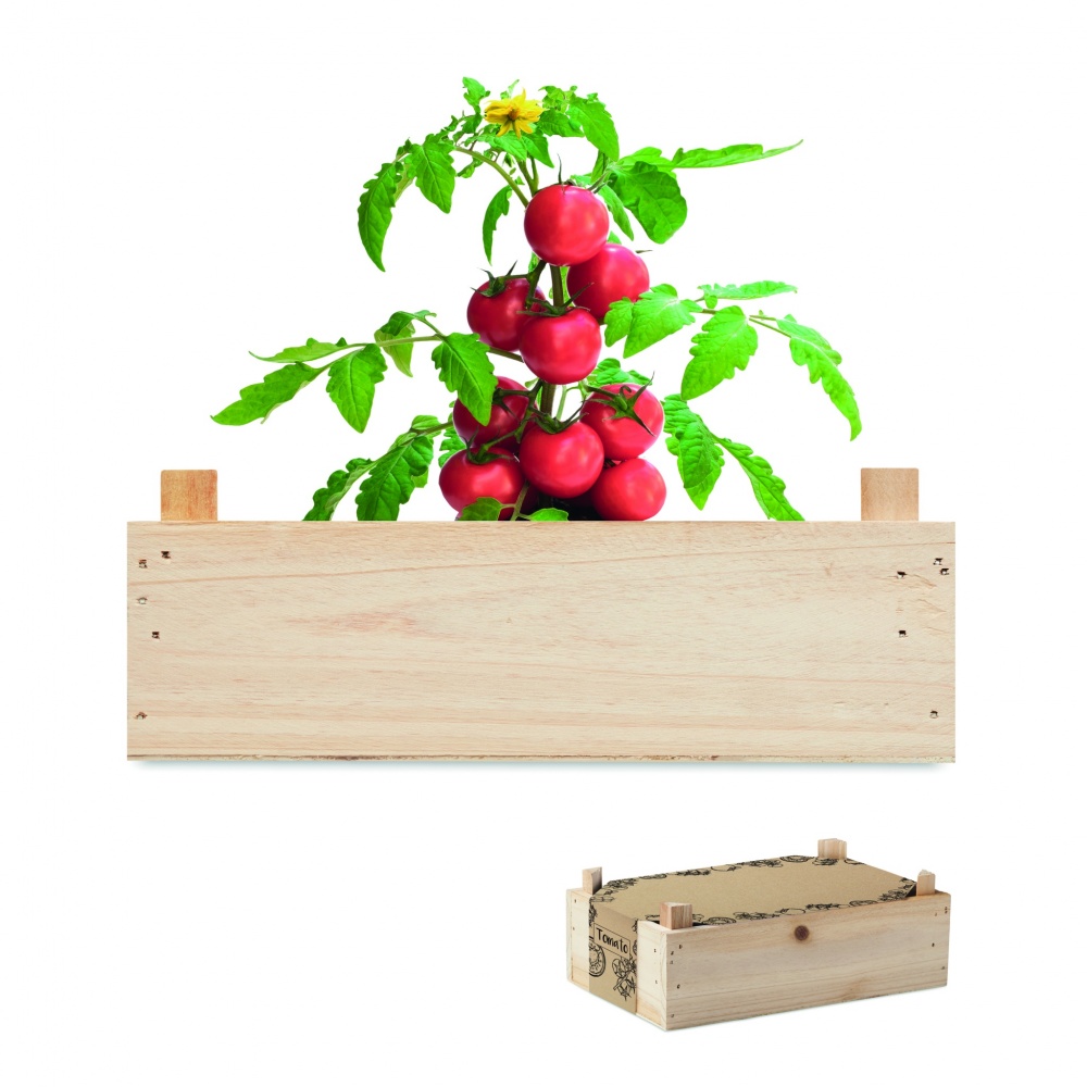 Logotrade promotional giveaways photo of: Tomato kit in wooden crate