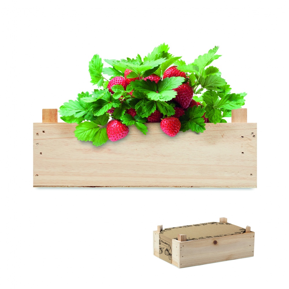 Logotrade business gift image of: Strawberry kit in wooden crate
