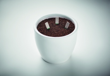 Logotrade promotional gift image of: Herb seeds sticks