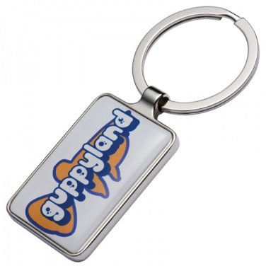 Logo trade promotional items picture of: Keyring FLINT