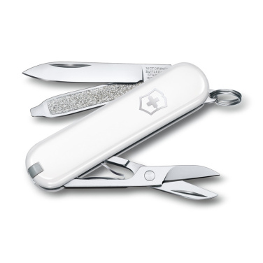 Logotrade corporate gift picture of: Pocket knife CLASSIC SD Victorinox