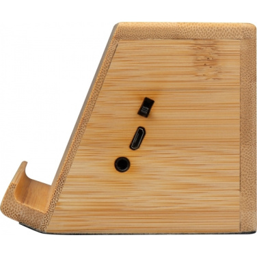 Logotrade promotional giveaway picture of: Induction loudspeaker NUREMBERG