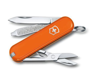 Logotrade promotional gift picture of: Pocket knife CLASSIC SD Victorinox