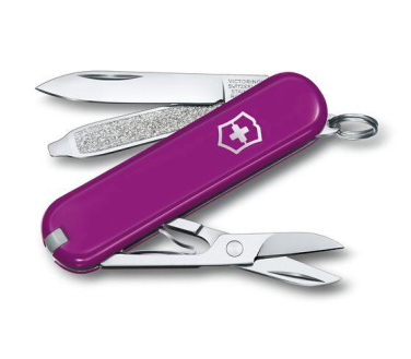 Logotrade promotional items photo of: Pocket knife CLASSIC SD Victorinox