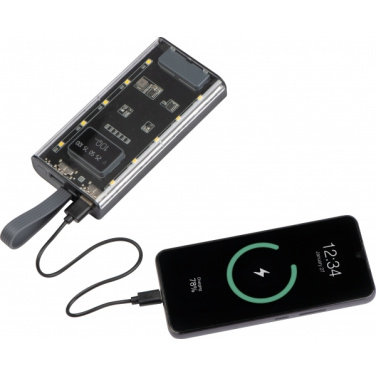 Logotrade promotional item picture of: Power bank 10 000 mAh DARWIN