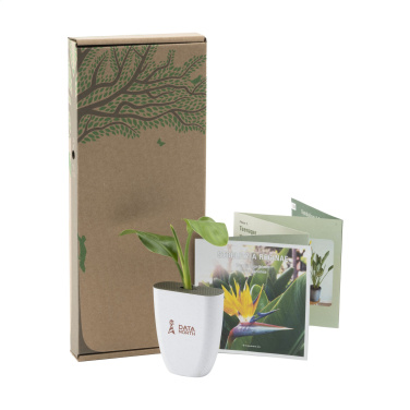Logotrade promotional giveaways photo of: Treemore Letterbox Trees Bird of Paradise plant