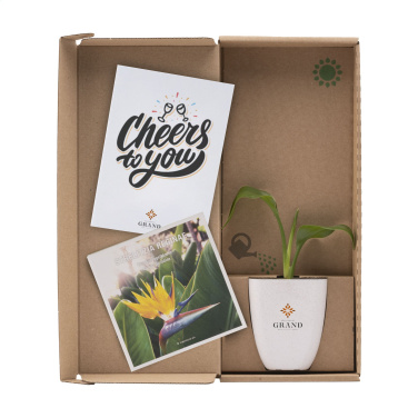 Logo trade promotional giveaways picture of: Treemore Letterbox Trees Bird of Paradise plant