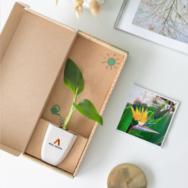 Logo trade promotional gifts image of: Treemore Letterbox Trees Bird of Paradise plant