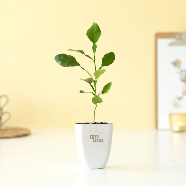 Logotrade promotional giveaway image of: Treemore Letterbox Trees Kaffir Lemon