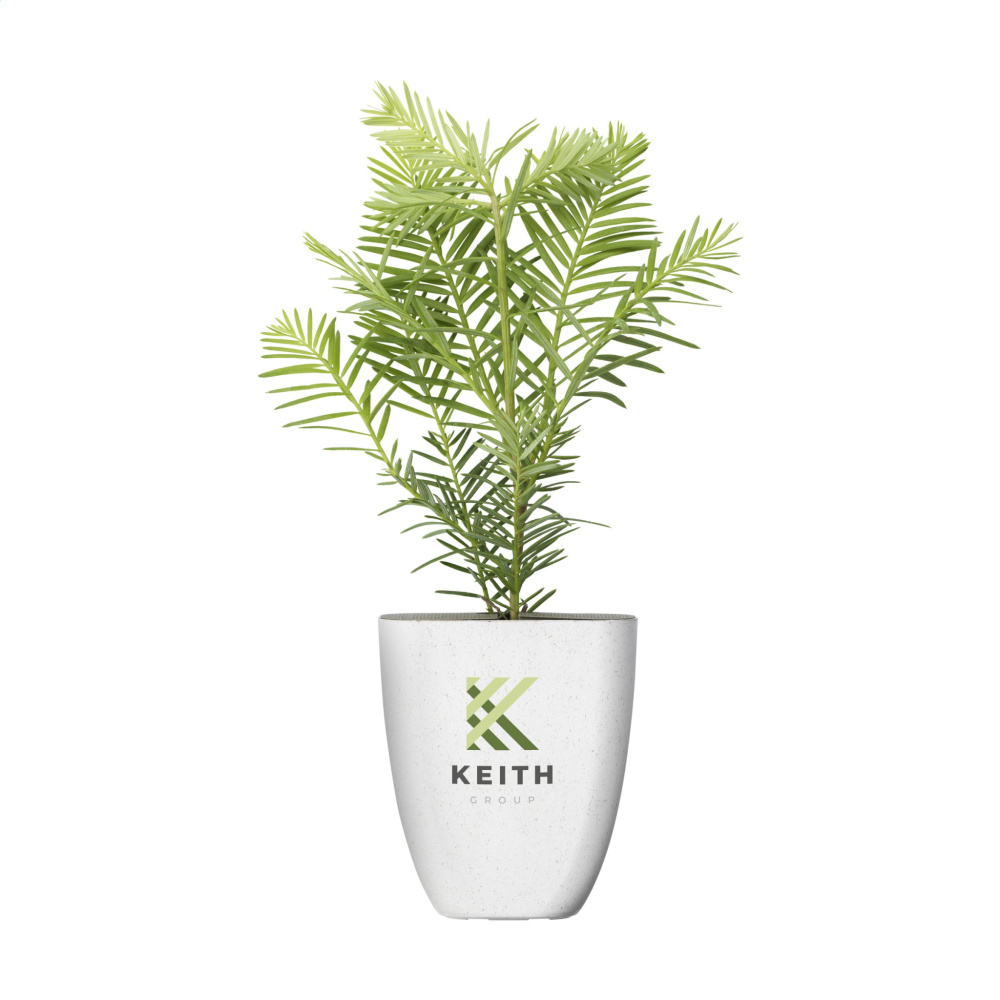 Logotrade promotional item picture of: Treemore Letterbox Trees Giant Sequoia