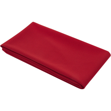 Logo trade corporate gifts picture of: Althea sport towel 50x100 cm