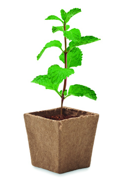 Logotrade promotional merchandise image of: Mint seeds growing kit