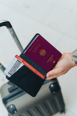 Logo trade advertising product photo of: Trackmate RCS rpolyester passport holder worldwide locating