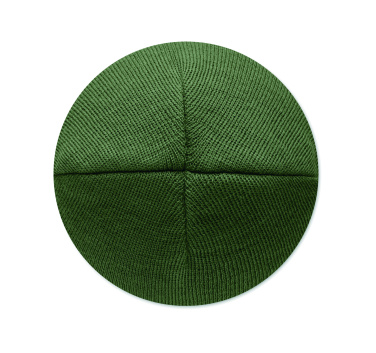 Logotrade promotional merchandise photo of: Unisex beanie RPET polyester