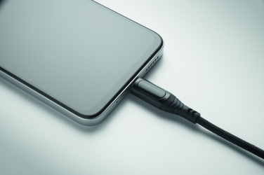 Logotrade corporate gifts photo of: 100W charging cable type-C