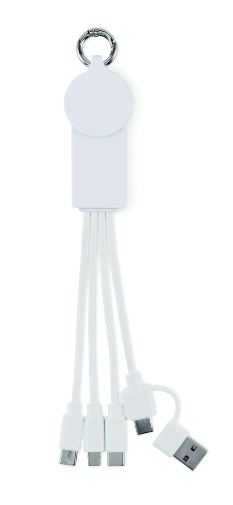 Logo trade promotional gifts image of: 2 in 1 charging cable type-C