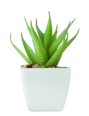 Logotrade promotional product image of: Mini artificial plant