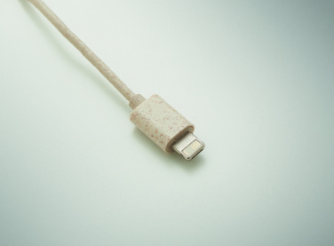Logo trade promotional item photo of: Cable set in case