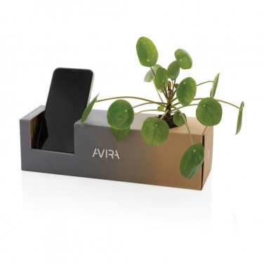 Logotrade reklaamkingituse foto: Avira Avior RCS Re-terasest pudel 1L