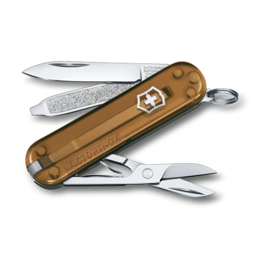 Logotrade firmakingitused pilt: Taskunuga CLASSIC SD Victorinox
