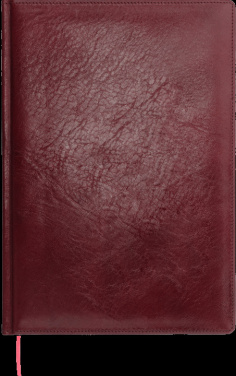 Logotrade firmakingid pilt: Kalendermärkmik 645131