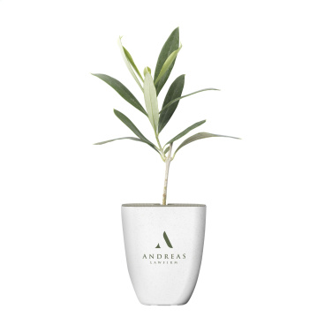 Logo trade reklaamtooted foto: Treemore Letterbox Trees Olive