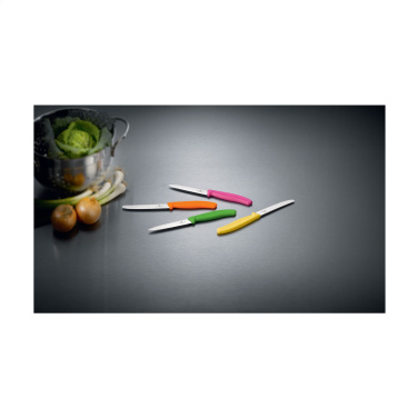 Logo trade reklaamkingid foto: Victorinox Swiss Classic lauanuga