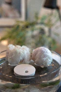 Logo trade reklaamkingid foto: Breevia RCS plastikust laetav ujuv õhuniisutaja