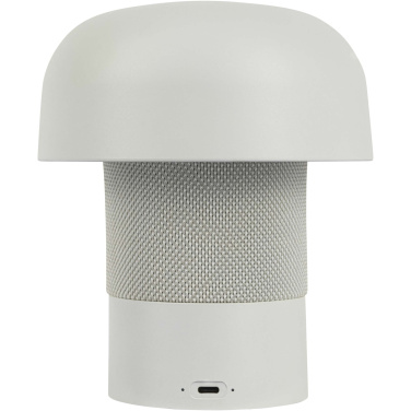 Logotrade ärikingituse foto: Kooduu Sensa Play Mini JBL kaasaskantav kõlar ja lamp