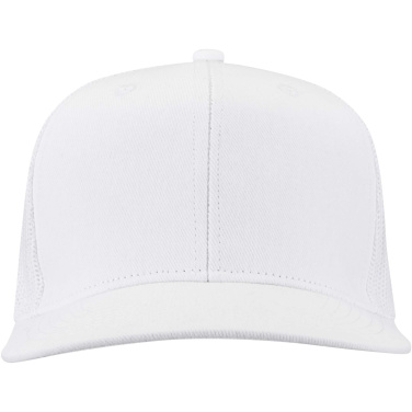 Logo trade reklaamkingi pilt: Drift Snapback 260 g/m2 6 paneeliga nokamüts