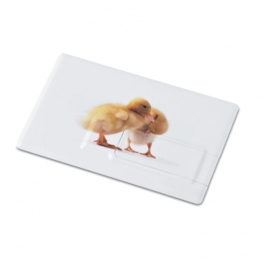 Logotrade liikelahja mainoslahja kuva: Luottokortti. USB flash 4GB