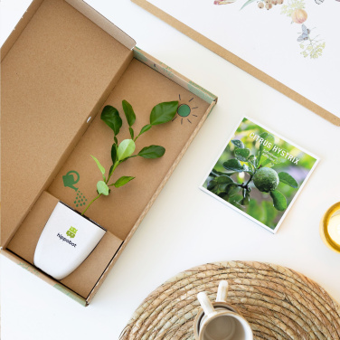 Logo trade liikelahja kuva: Treemore Letterbox Trees Kaffir Lemon