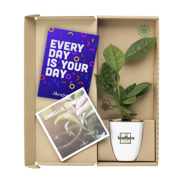 Logo trade mainoslahja ja liikelahja tuotekuva: Treemore Letterbox Trees Teekasvi