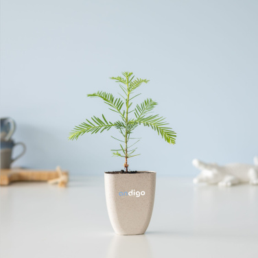 Logotrade liikelahjat mainoslahjat tuotekuva: Treemore Letterbox Trees Giant Sequoia