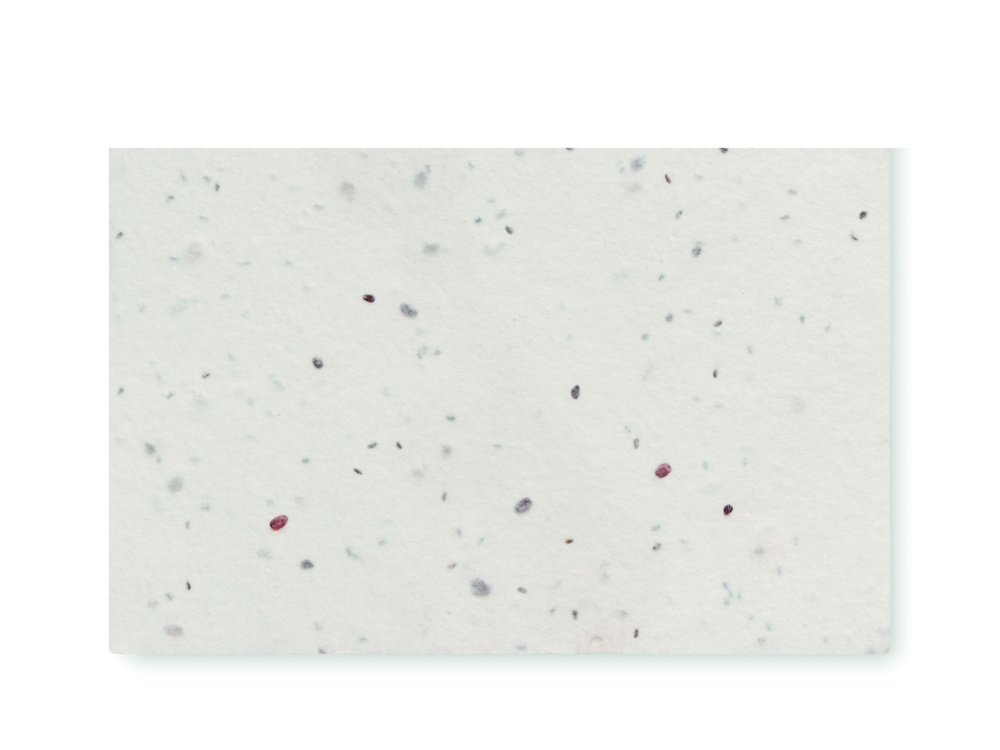 Logotrade mainoslahjat ja liikelahjat tuotekuva: Luonnonkukkien siementen käynti