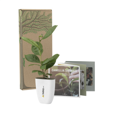 Logotrade Ideja dāvanas foto: Treemore Letterbox Trees Tējas augs