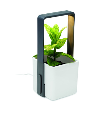 Лого трейд бизнес-подарки фото: Indoor garden with LED light